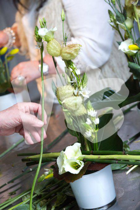 bloemen en planten vvbvanbree     1131